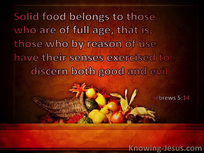 Hebrews 5:14 Solid Food Belongs To Those Who Are Of Full Age (windows)12:15